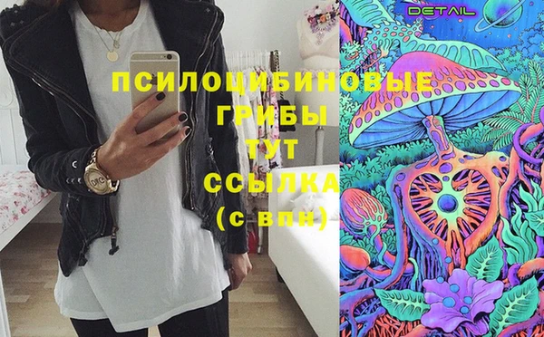 гашик Нефтегорск