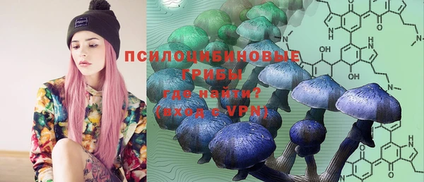 а пвп мука Вяземский