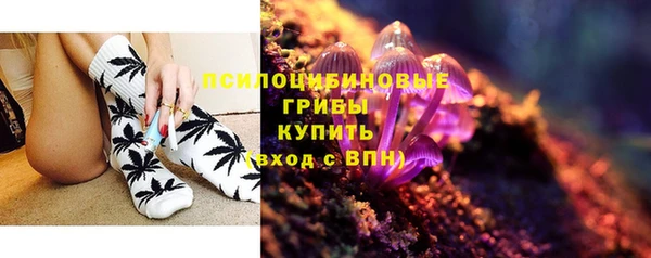 гашик Нефтегорск