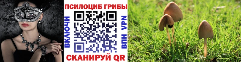 Псилоцибиновые грибы ЛСД  Анадырь 